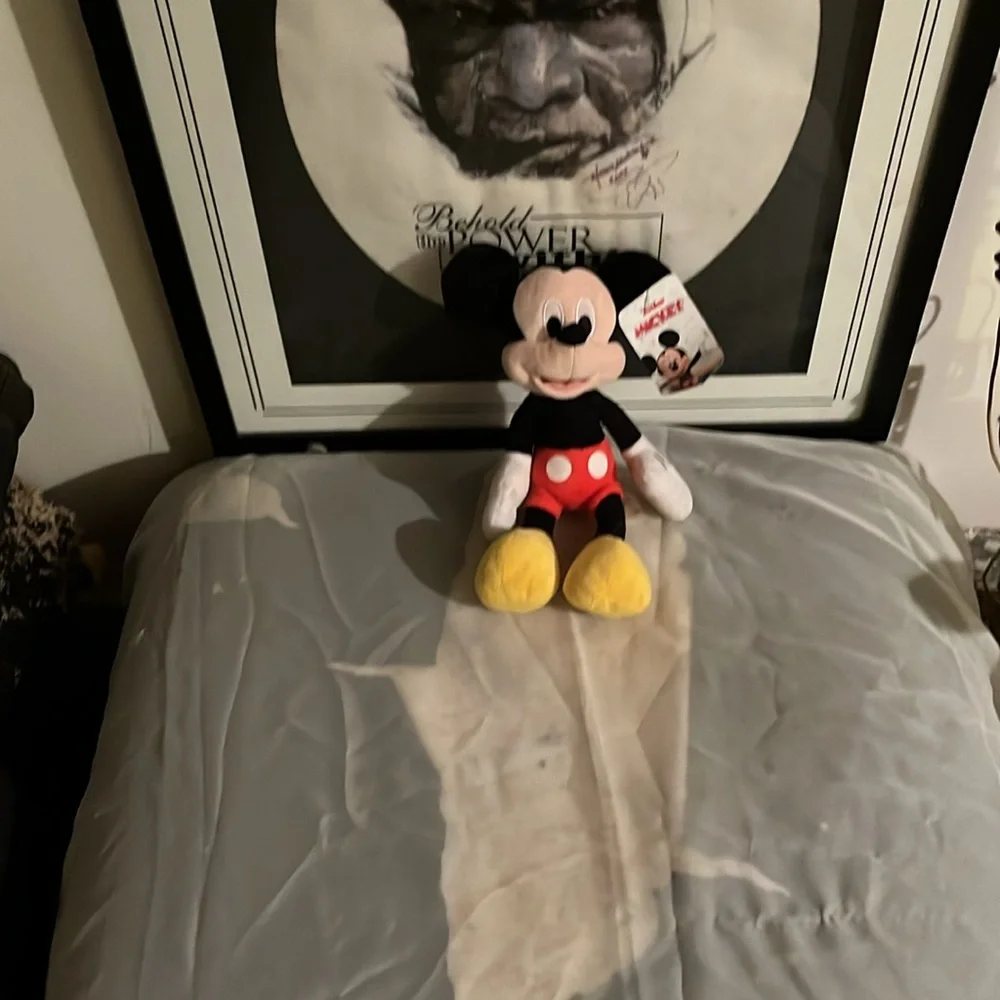 Mickey Mouse bundle stuff plushy $100 for bundle $25 a piece. - Picture 4 of 5